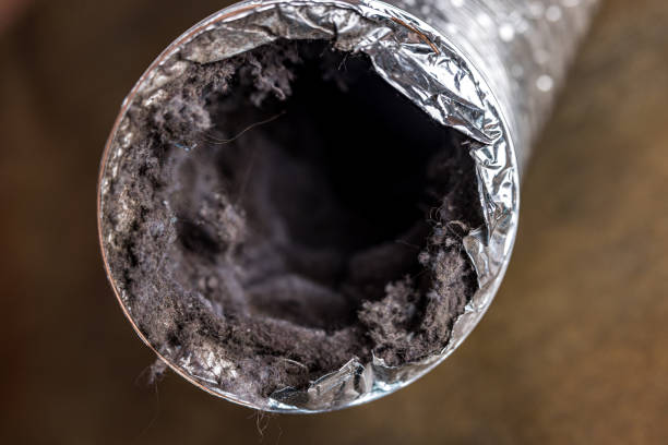 Best Air Duct Cleaning Near Me  in Brogden, NC
