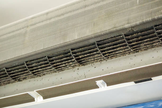 Best Affordable Air Duct Cleaning  in Brogden, NC